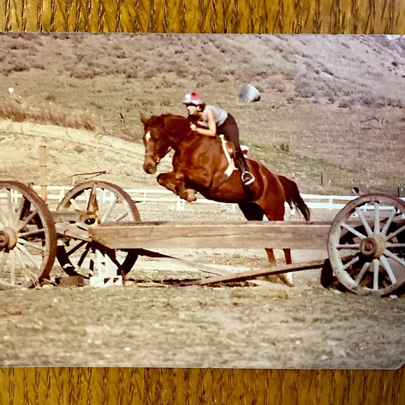 Other - About Me : Equestrian plus my Horse Books Riding Training Vintage Various Titles